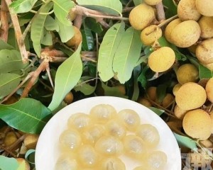 全產業鏈產值突破百億元