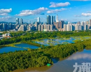 整合兩地資源推動生物多樣性保育