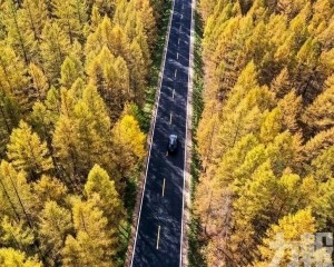串聯沿邊沿海三大國道