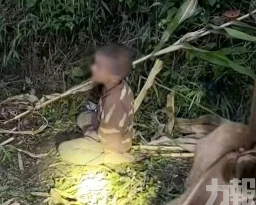 無人機在山頂粟米地尋回