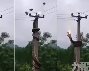兩度觸高壓電當場喪命