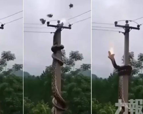 兩度觸高壓電當場喪命