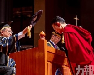表揚演藝及公益貢獻