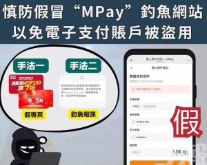 以免電子支付賬戶被盜用