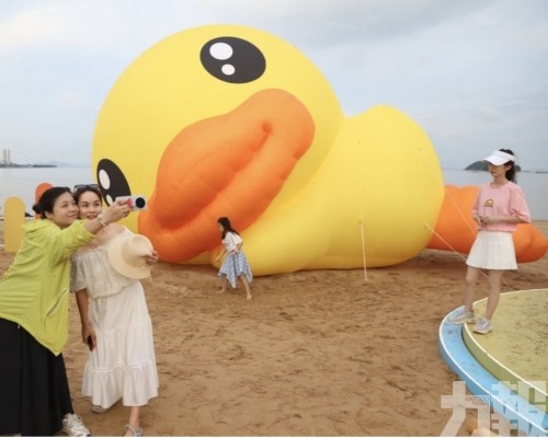 唐家灣沙灘玩「解鴨」