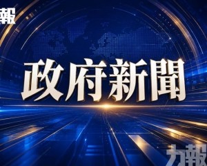 社服界別法人9月内提交年度總結報告