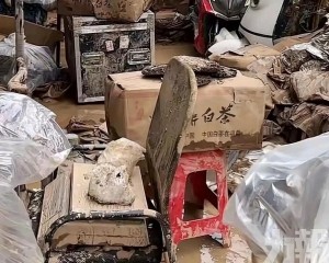 茶商庫存一夜泡湯