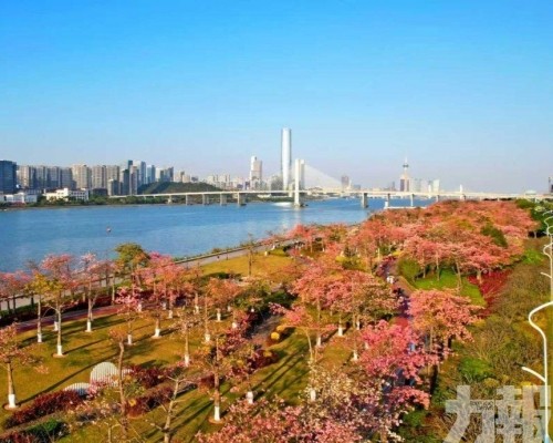 灼灼桃花源