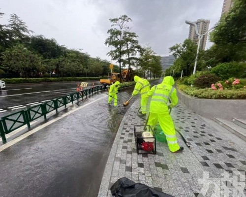 以實幹繪就雙城共生新圖景