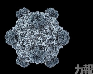 現有病毒威脅仍較迫切