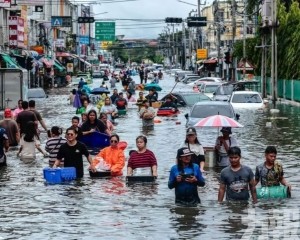 水淹曼谷鱷魚出沒