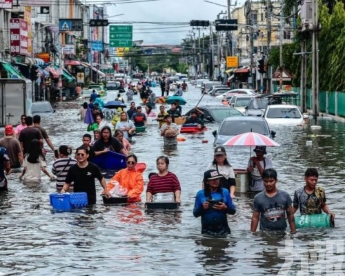水淹曼谷鱷魚出沒
