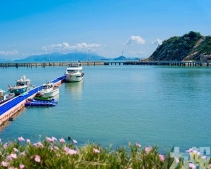 海島體驗吸引灣區客