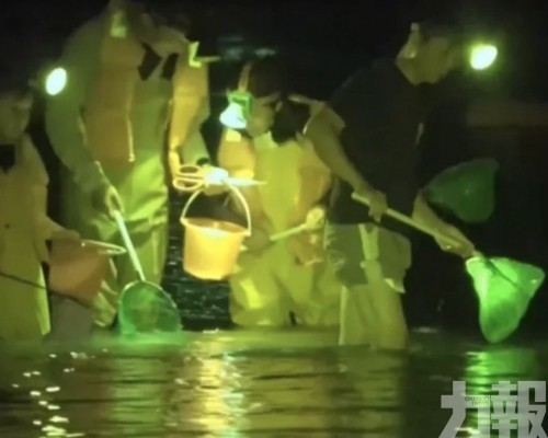 海南關閉七處違規據點