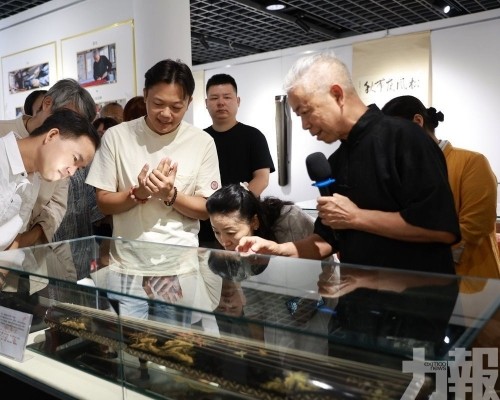 大休絲弦技藝免費看