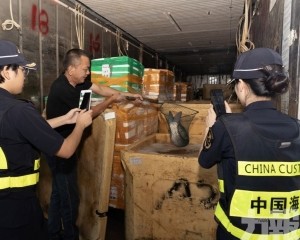港珠澳大橋全天候賦能灣區保供