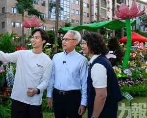 共度開放日歡樂時光
