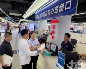 大灣區服貿會政策宣講話你知