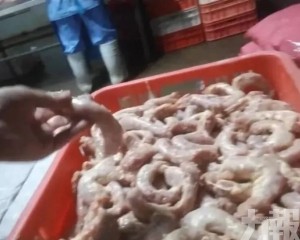 河南廠被揭以雞頸肉製丸 