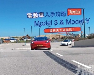 Tesla Model3&Model Y