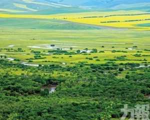 內蒙古額爾古納濕地公園