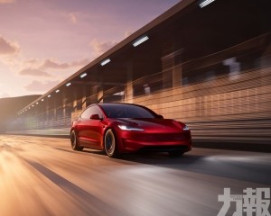 Model 3 全新高階版 Performance