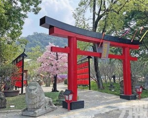 星空溫泉×鐵道茶香！