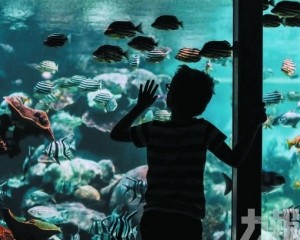 ——穿越神話，觸摸你靈魂的潮汐