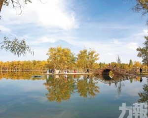 千年一遇的黃金盛宴