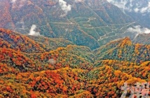 陝南龍頭山秋色 如夢似幻的彩色仙境