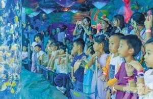 沉浸海底世界 共學保育行動