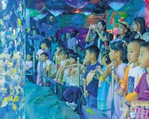 沉浸海底世界 共學保育行動