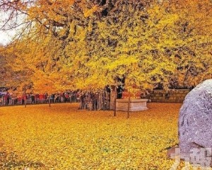 秋色五彩：東川紅土地 大地調色盤