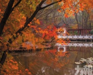 南京棲霞山尋幽記
