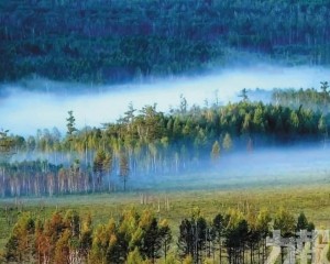 一場燃盡色彩的寂靜盛宴