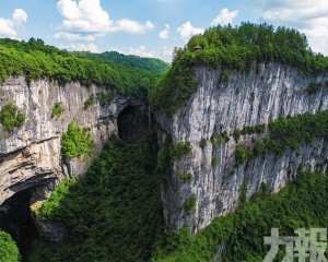 墜落懸崖的粉紅暴雪