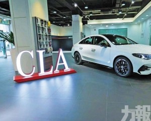 氹仔陳列室周末辦體驗日活動