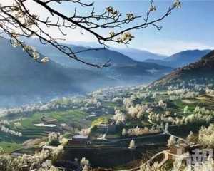 金川雲頂花海 離天堂最近的絢爛祕境