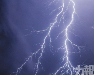 獨特面具與革新能量的碰撞