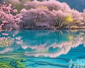 雙重景致交織高CP值旅遊首選
