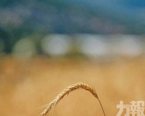 滋養的姿態，擁抱與放手之間