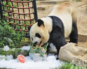 市署周五辦派對邀市民齊參與