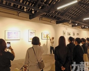 引領觀眾感受美中不足的美