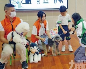 推廣養寵知識宣揚領養代替購買