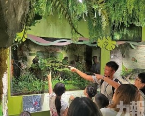 夜尋兩棲爬蟲動物及夜間生物