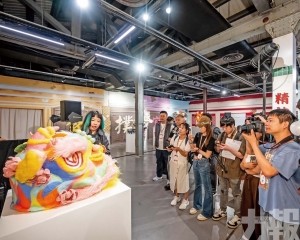 多元活動推動醒獅文化發展