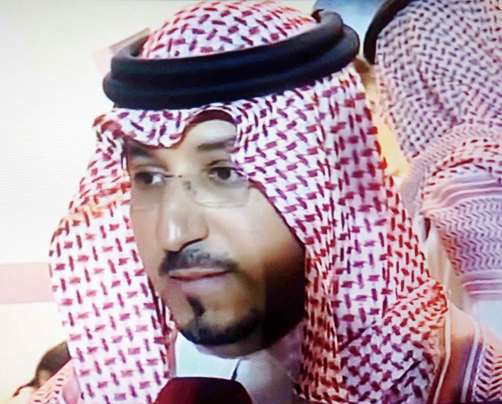 沙特王子等八高官身亡