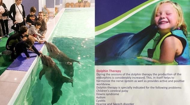 亞美尼亞酒店泳池養海豚惹爭議